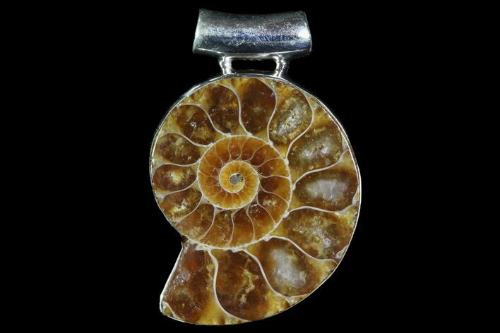 Ammonite Fossil Pendant - Sterling Silver #81613
